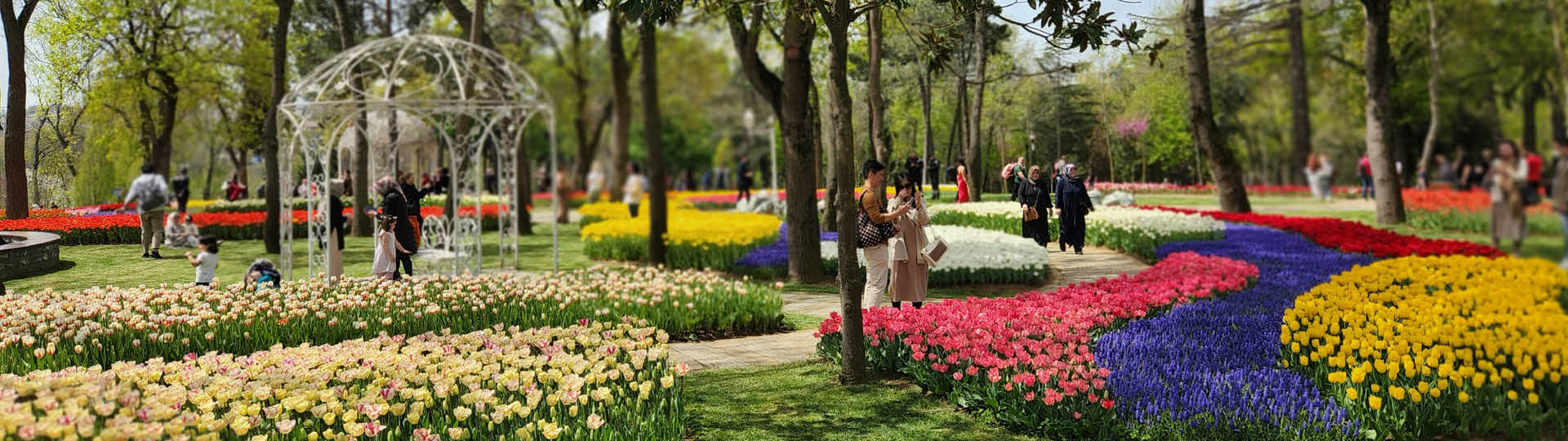 1920x540 park public park